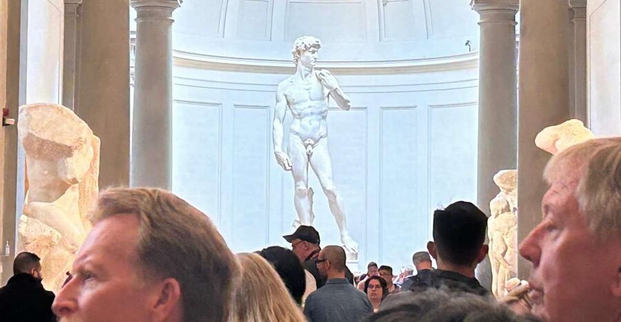 Florence: David's Accademia timed Ticket with Audio APP - David in the main hall