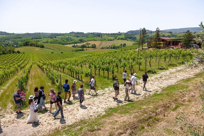 Florence walking guided tour with Uffizi & Accademia - A private group price of $820.61