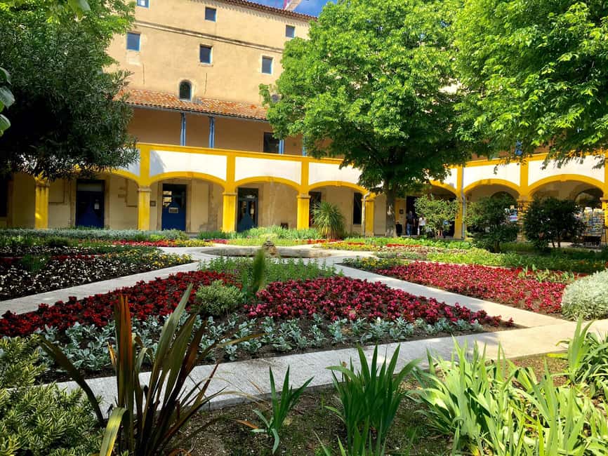 Following the steps of Van Gogh - Key points to know before booking