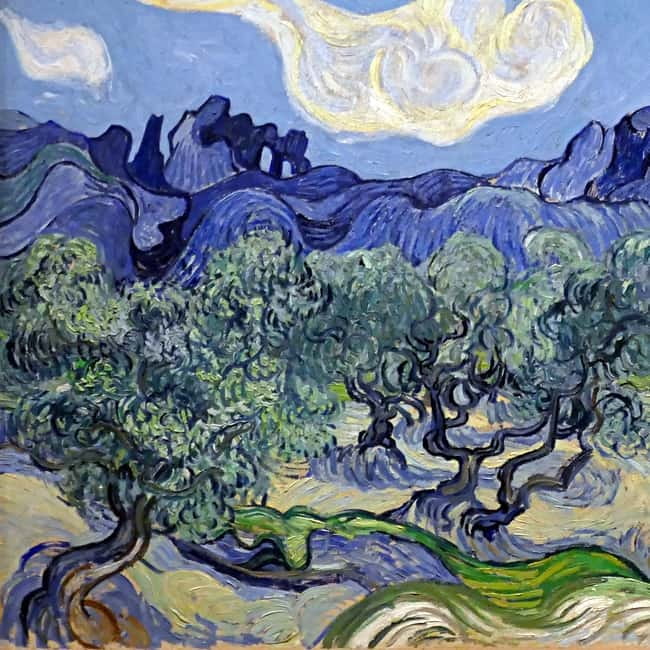 From Avignon: Van Gogh's sites & Les Baux de Provence - What the timing means for your day