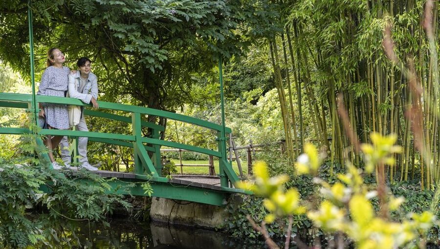From Paris: Monet Impressionism Tour to Giverny by Minibus - Monet’s lily pond and Japanese bridge
