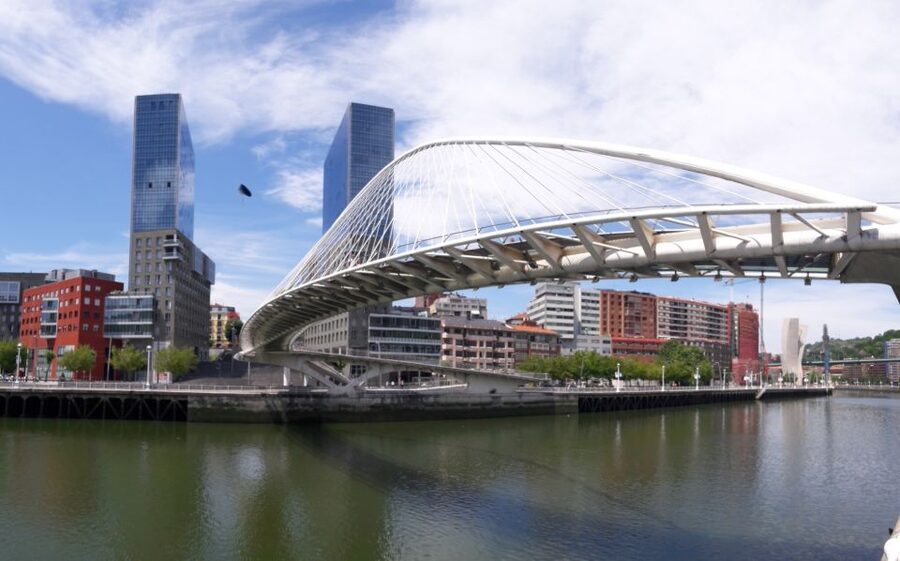 From San Sebastian: Bilbao & Guggenheim Museum Private Tour - Who should book this Bilbao experience?