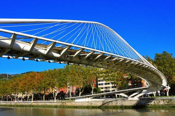 Full-day private Bilbao tour (Guggenheim museum & full pintxo lunch included) - Timing, Meeting Point, and Booking Details