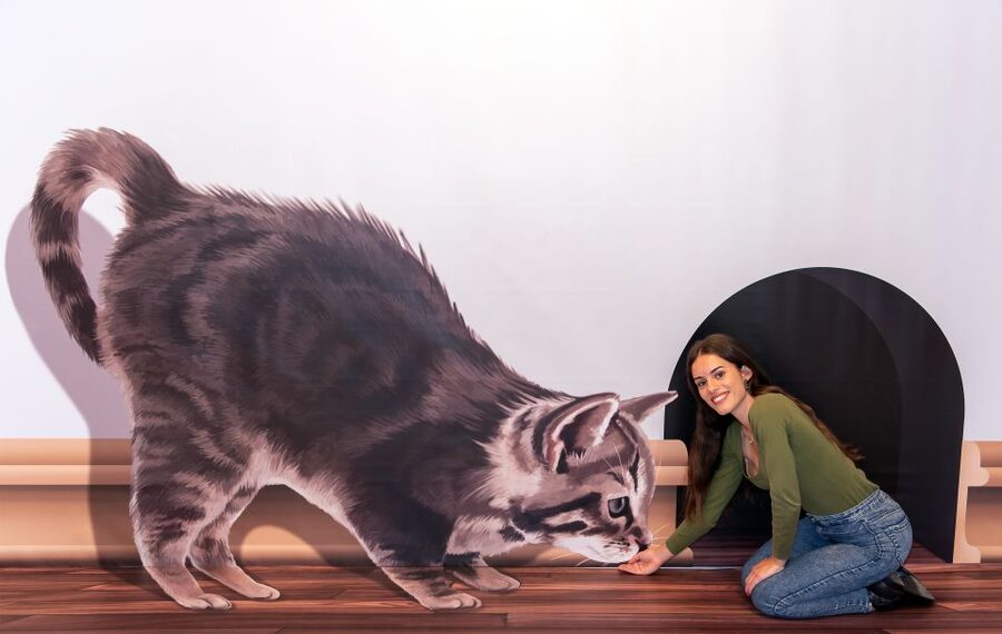 Funchal: 3D Fun Art Museum - Heat, clothing, and practical comfort