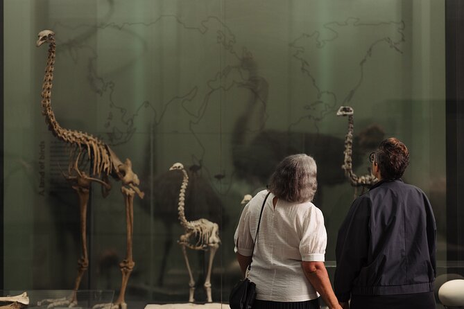 Gallery Highlights Tour and General Admission - Making Sense of the Extra-Cost Options