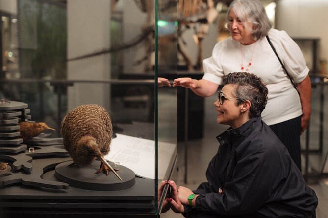 Gallery Highlights Tour and General Admission - The ANZAC and War Galleries