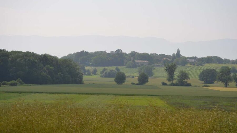 Geneva Countryside And Art Museum At A Castle Wine By E-Bike - Rain, fitness, and the practical side of the ride
