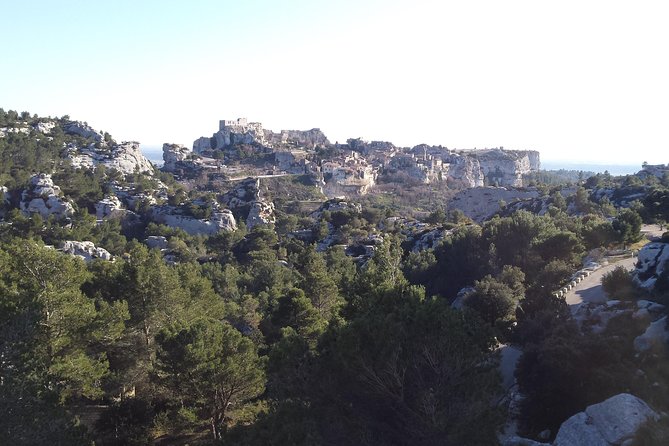 Half-Day Van Gogh Tour of Provence from Avignon - Why this tour works for Van Gogh fans