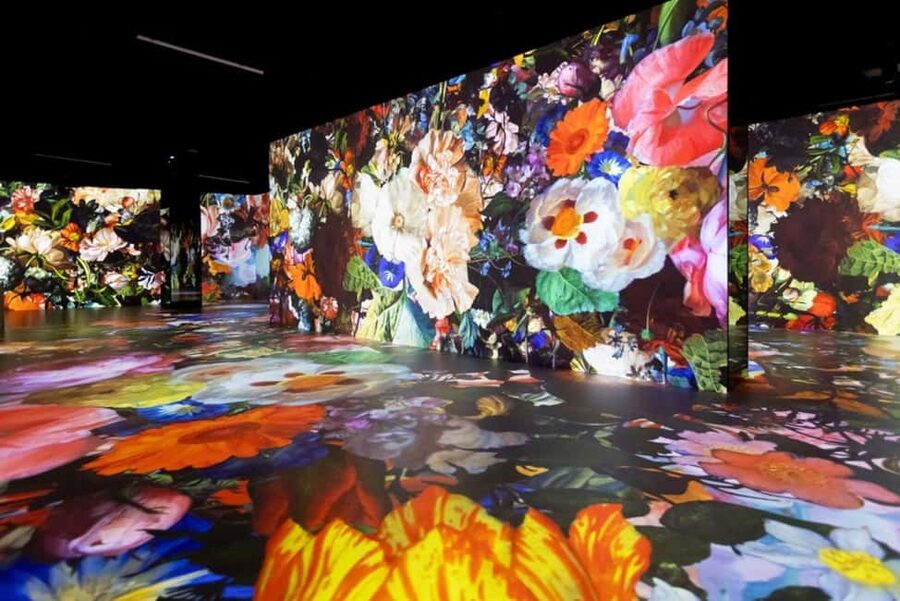 Hamburg: Port des Lumières Vermeer & Van Gogh - Why the one hour length works
