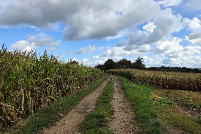 Hiking Adventure in Van Gogh's Footsteps with 6 miles walk - Auvers-sur-Oise, where Van Gogh spent his final weeks
