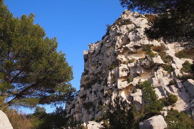 History and Van Gogh in Provence from AIX-EN-PROVENCE - Saint-Paul de Mausole: the Van Gogh photo stop