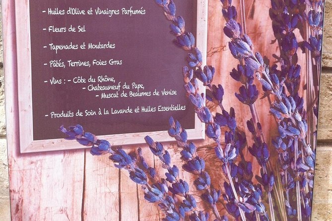 History and Van Gogh in Provence from AIX-EN-PROVENCE - Avignon: medieval power in a one-hour visit