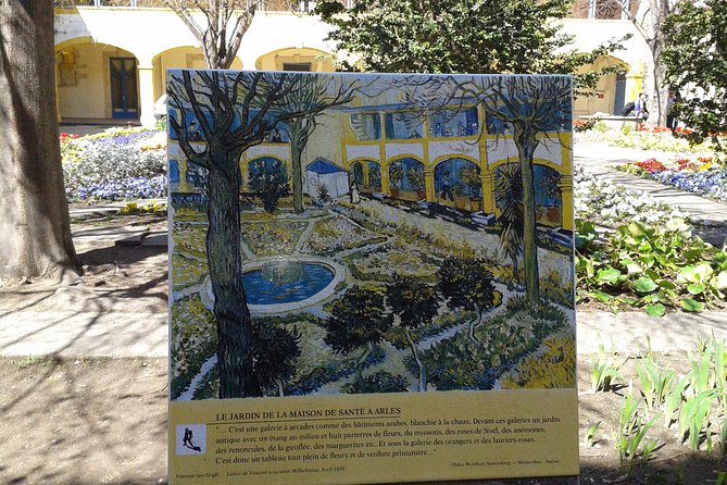 In the footsteps of Van Gogh in Provence from Avignon - Free time, local stories, and the role of the guide