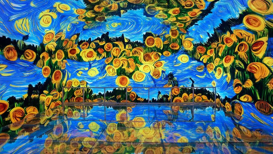 Istanbul: Van Gogh Digital Experience Museum Entry Ticket - Who should book this experience?