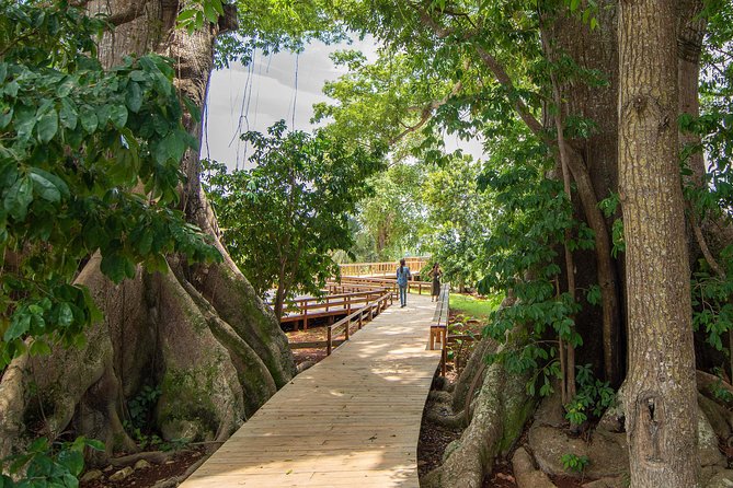 Jamaica Giants sculpture park, art galleries - Walking the Culture Park