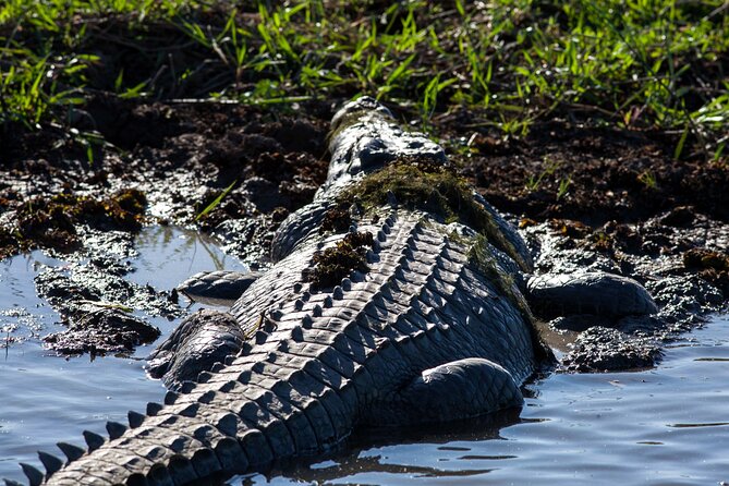 Kakadu National Park Wildlife & Ubirr Rock Art Tour from Darwin - Ubirr gives this Darwin day trip its purpose