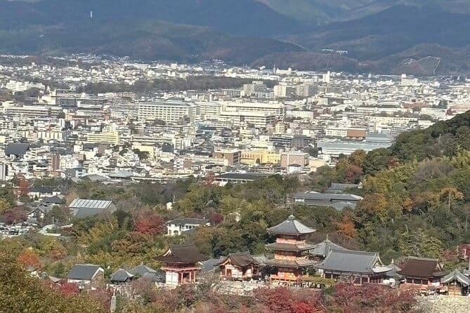 Kyoto 1 Day Suntory Yamazaki Distillery Tour and Asahi Art Museum - Lunch, timing, and what to bring