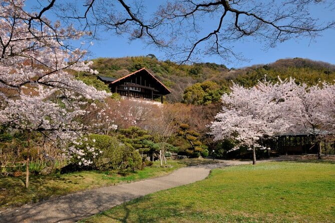 Kyoto 1 Day Suntory Yamazaki Distillery Tour and Asahi Art Museum - Is $163.30 good value?