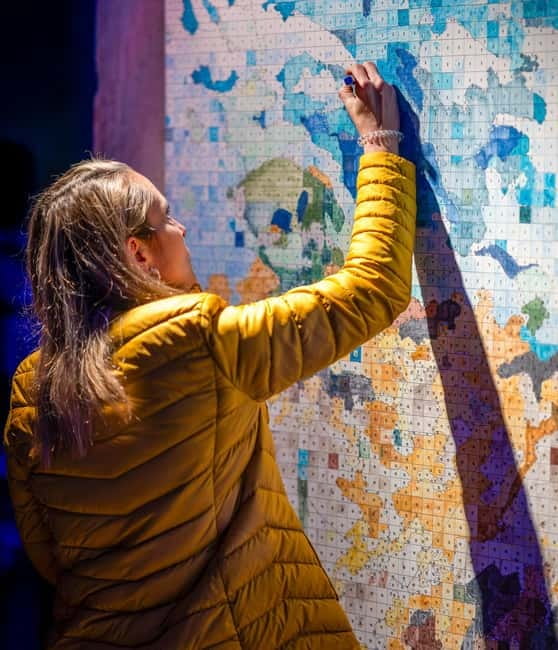 Lisbon: Living Van Gogh Exhibition Ticket - Is $14 a fair price?