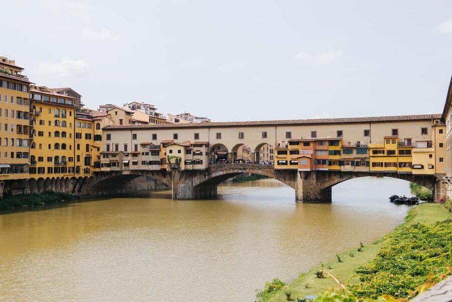 Livorno Shore Excursion: Florence & Pisa, Accademia & Tower - A practical choice: museum, walking tour, or free time