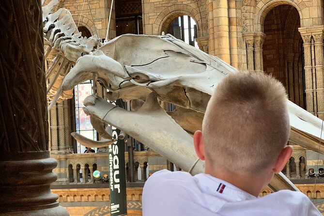 London Natural History Museum with Dinosaurs Gallery Private Tour for Kids - The Dinosaur Gallery and its ancient T. rex