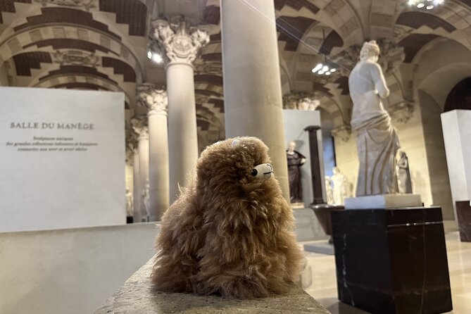 Louvre: All the stars of museum - Private guided 3h tour & entry - Meeting near Palais Royal and finding your way inside