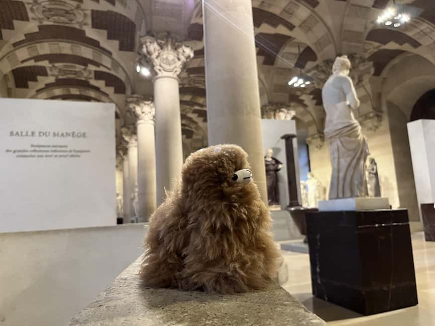 Louvre Museum Entry Ticket and Private Guided Tour - Families, mobility, and practical limits