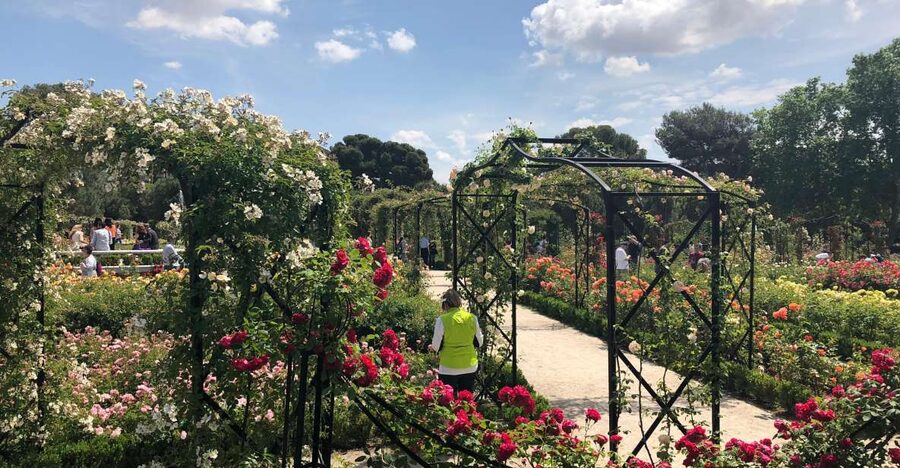 Madrid: Prado Avenue and Retiro Park Guided Walking Tour - Key points at a glance
