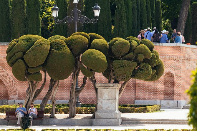 Madrid Prado Museum & City PRIVATE TOUR with Ticket Included - Should you book the Prado and Madrid private tour?