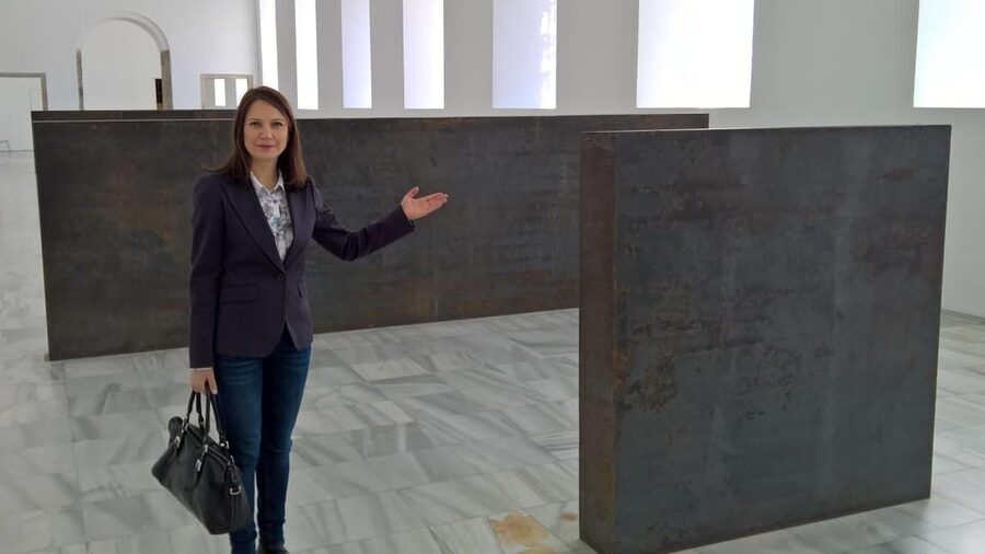 Madrid Reina Sofia Museum & Picasso's Guernica Private Tour - Starting Inside a Former Madrid Hospital