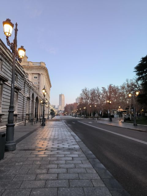 Madrid: Royal Palace & Prado Museum Private Tour - Why this pairing works so well in Madrid