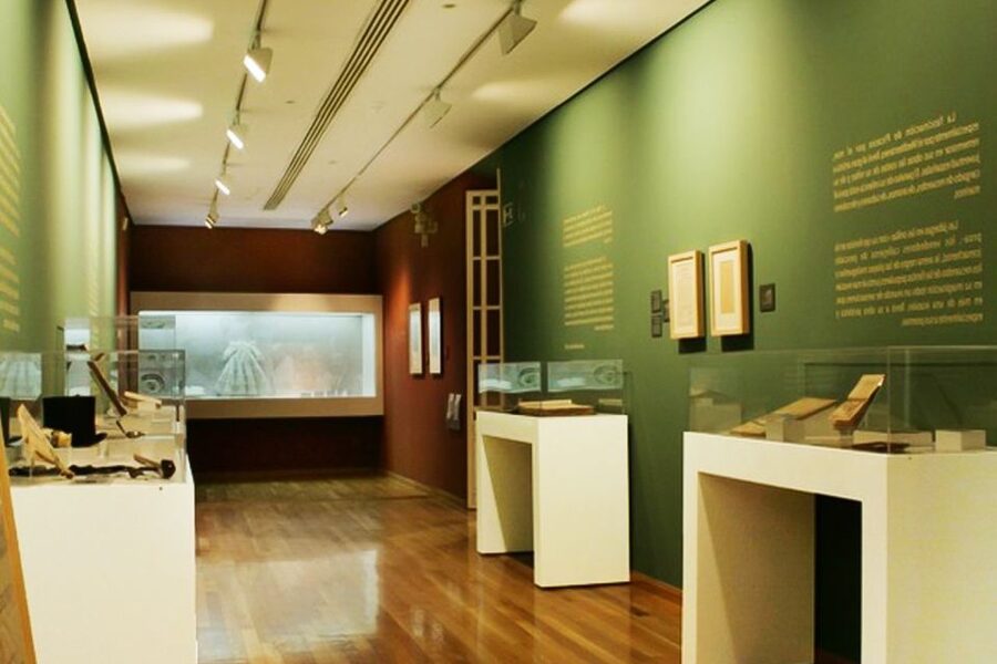 Malaga: Guided tour of Picasso's Birthplace Museum - Should you book the Picasso Birthplace Museum tour?