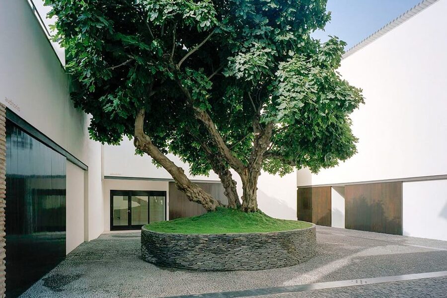 Málaga: Museo Picasso Málaga Entry Ticket - Audio guide: useful, but prepare your phone