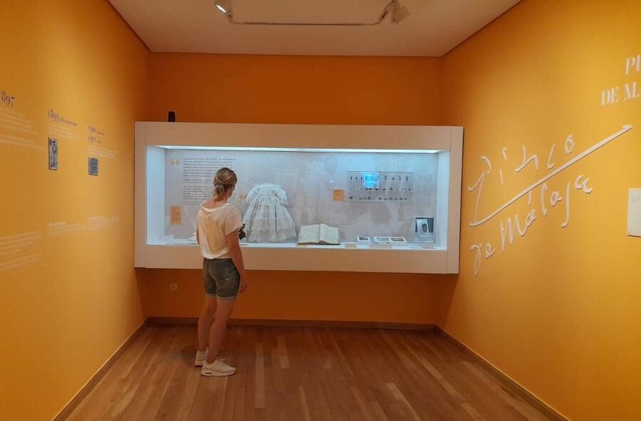 Málaga: Picasso Birthplace Museum Ticket & City Audio Guide - Accessibility and practical details