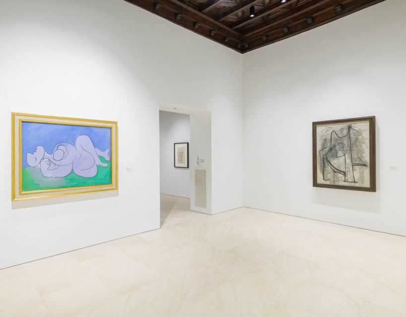 Malaga: Picasso Museum Guided Tour with Skip-the-Line Ticket - Who will get the most from this museum visit