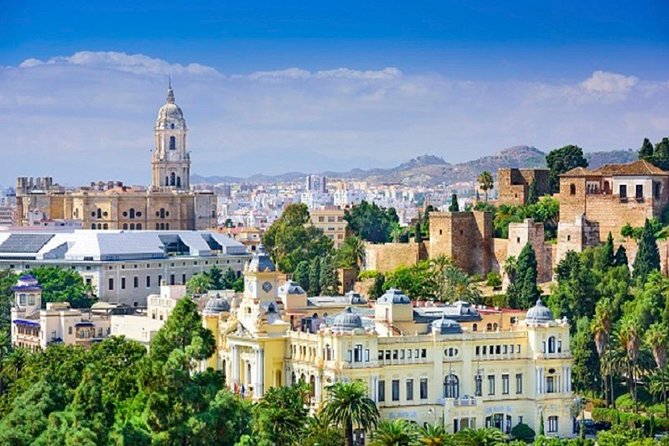 Málaga Picasso Museum Private Guided Tour - Who will enjoy this most