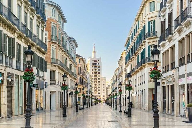 Malaga Private Tour: Alcazaba, Market, Catedral & Picasso - What the private format changes