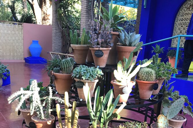Marrakech Shopping Tour in the Best Galleries in Morocco. - Les Nomades de Marrakech and Berber rugs