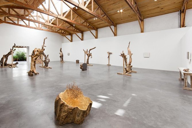 Mexico City Private Gallery Tour - Why a private gallery walk works in Roma Norte