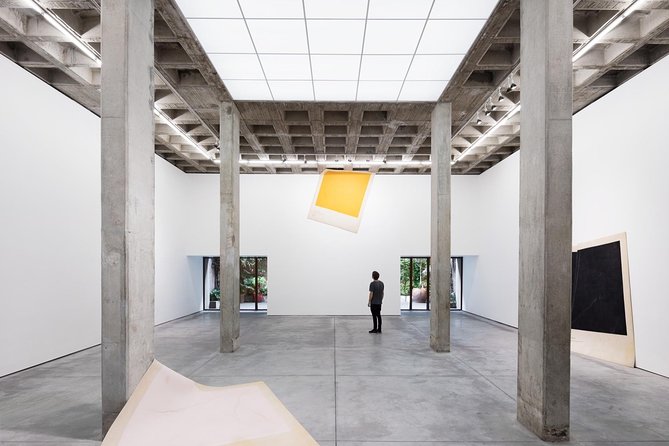 Mexico City Private Gallery Tour - The pace: two hours and thirty minutes on foot