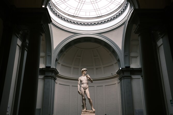 Michelangelo’s David & Medici Treasures Accademia Gallery Tour - Why seeing David with a guide matters