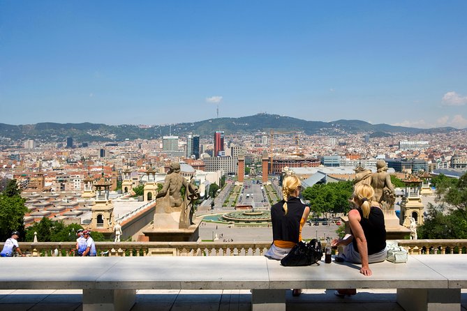 MNAC Barcelona: National Art Museum of Catalonia Admission Ticket - Independent admission means planning your own visit