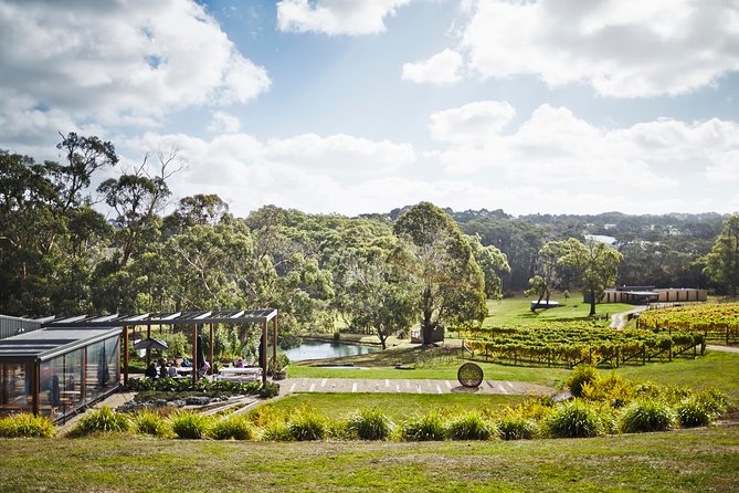 Mornington Peninsula Luxury Lunch, Wine Tasting & Pt Leo Art Walk - What the $193.66 price includes