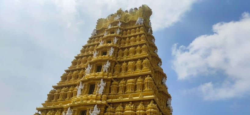 Mysore: Palace, Art Gallery & Devaraja Market Walking Tour - What $49 buys you