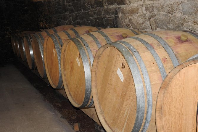 Northern Rhône Valley From Lyon Full day - Tain-l’Hermitage and the first serious tasting