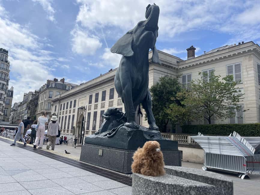 Orsay Museum: Museum Ticket Entry & 2h Private Guided Tour - Key points to know before booking