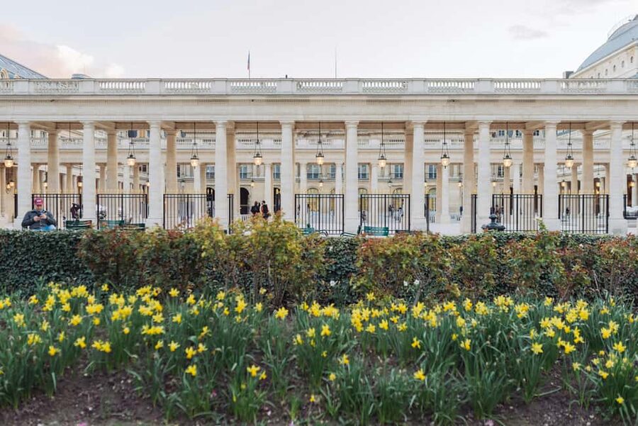 Paris: Royal Palais, Tuileries and D'Orsay Tour - Walking, comfort, and access