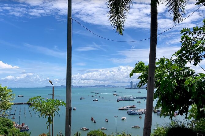 Pattaya City Tour: Big Buddha, Viewpoint and Gems Gallery - Wat Phra Yai and Pattaya’s Big Buddha