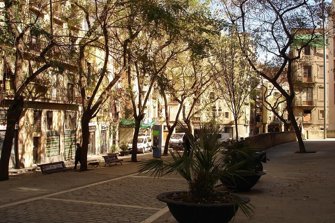 Picasso Museum & Private Walking Tour of Born or Gothic Quarter - Starting with Picasso on Carrer de Montcada
