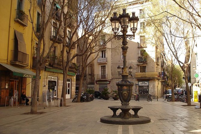 Picasso Museum & Private Walking Tour of Born or Gothic Quarter - Who will get the most from this tour?